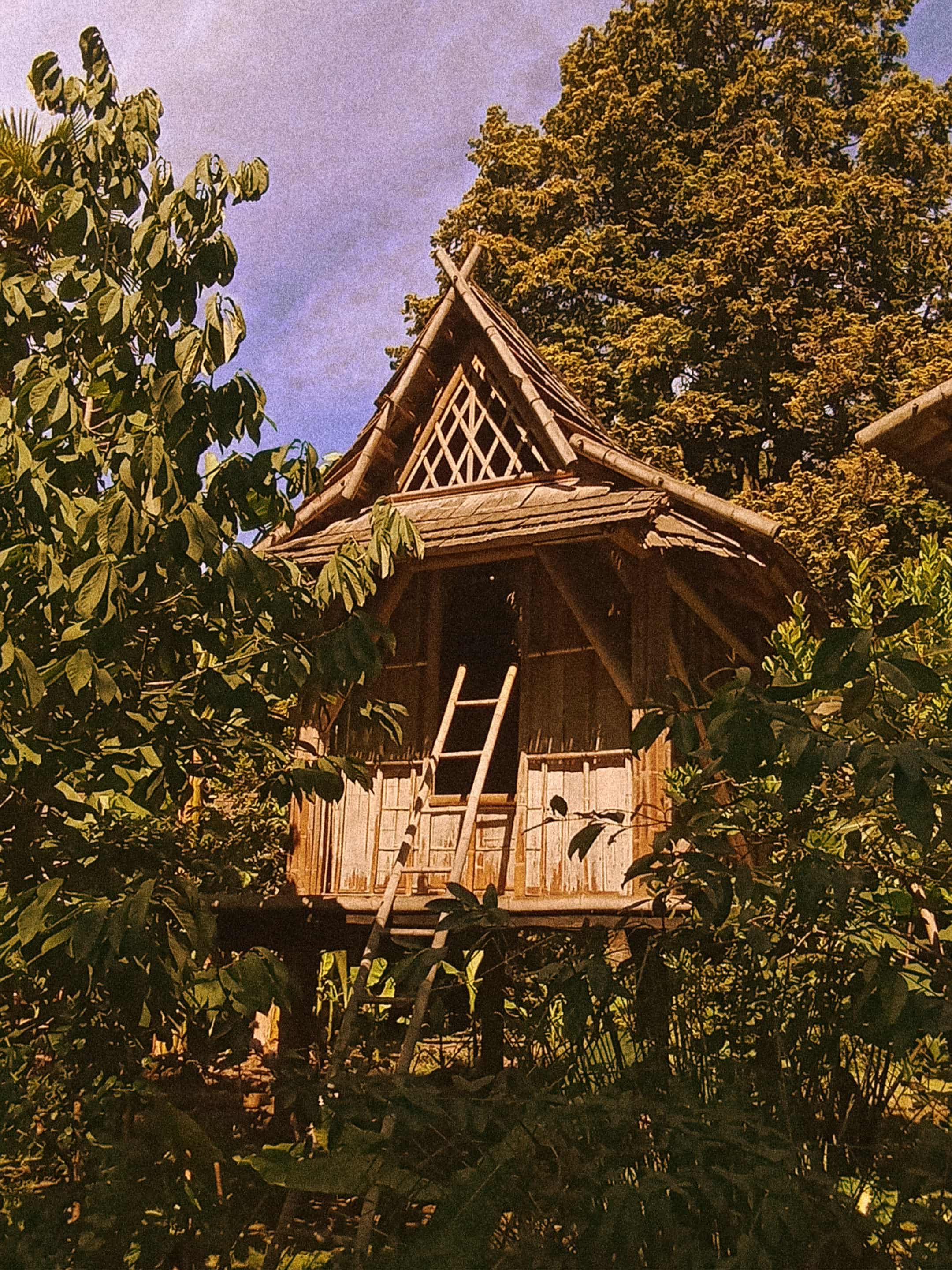 projet design graphique