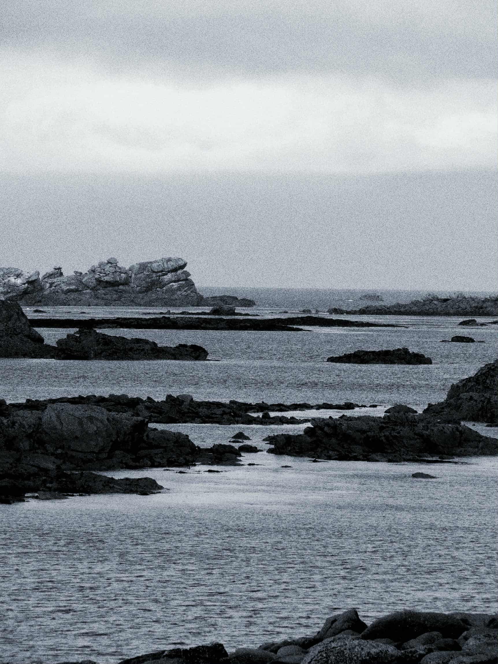 projet design graphique