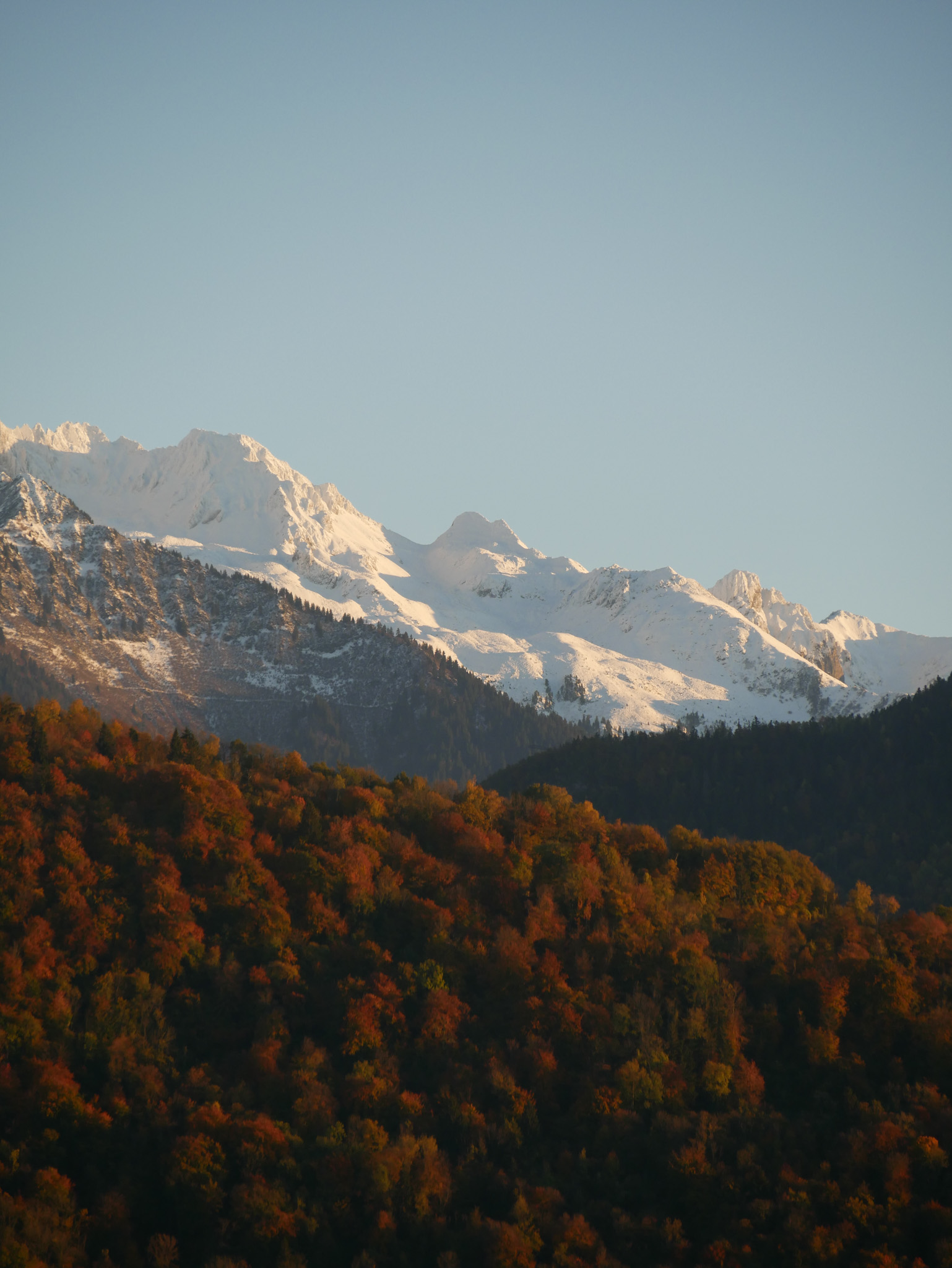 projet design graphique